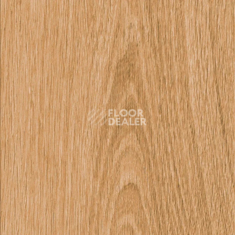 Кварцвиниловые полы AW Invictus Maximus Plank 2.5 мм Highland Oak Classic фото 1 | FLOORDEALER